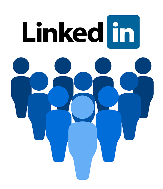 LINKEDIN: GENERACIÓN DE MARCA Y CLIENTES EN COMUNIDADES DIGITALES PROFESIONALES – 24/1095.L1C.001-09